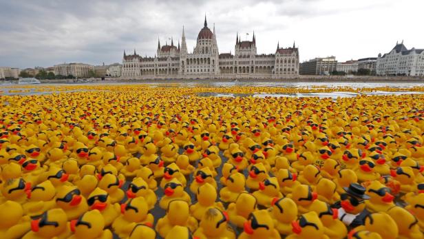 Tausende gelbe Gummienten schwimmen auf der Donau vor dem ungarischen Parlament in Budapest.