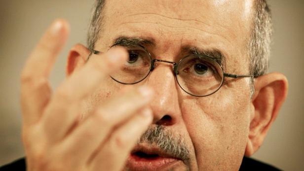 ElBaradei im Portrait