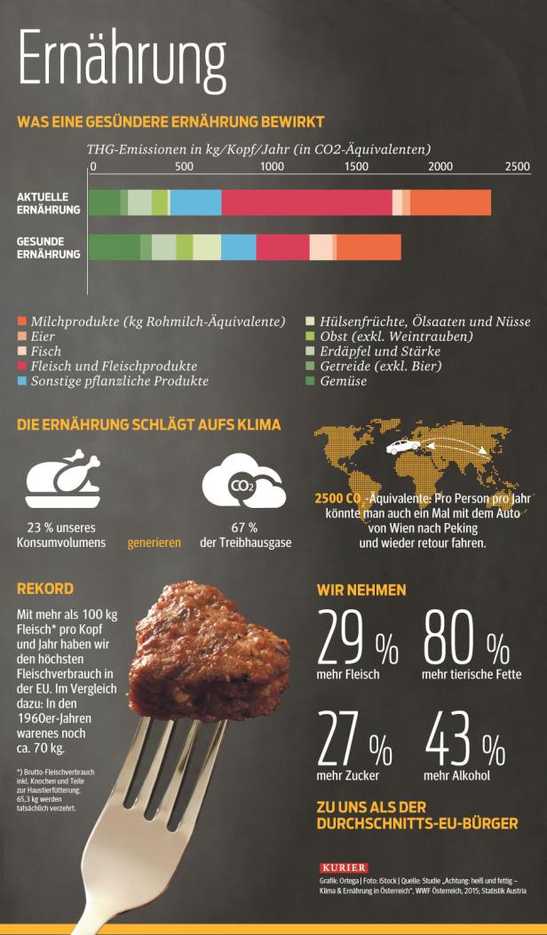 Unser Fleischkonsum zerstört die Welt