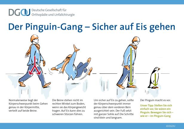 Eine Info-Grafik zum Pinguin-Gang