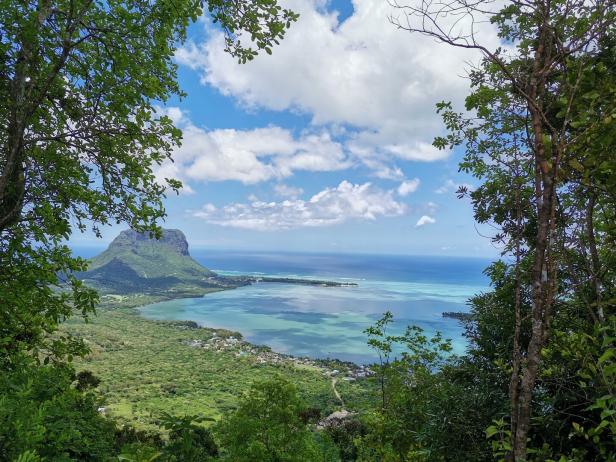 Blick durch das Grün auf den Berg Le Morne Brabant und das türkisfarbene Meer.
