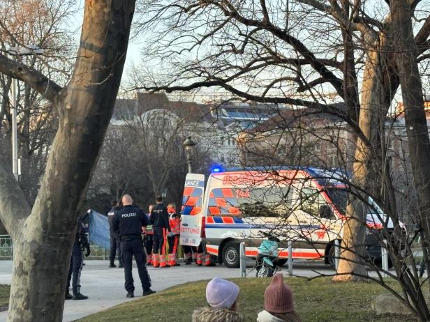 Spektakulärer Rettungseinsatz in Wien: Heli landete im Stadtpark