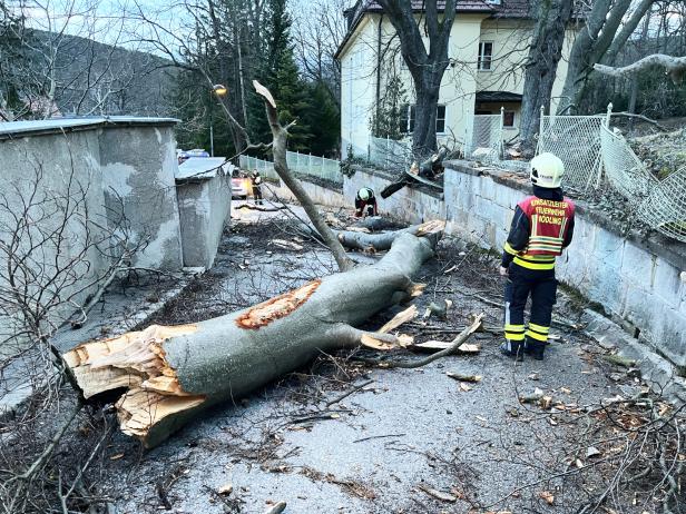 Sturm in Niederösterreich und Wien: Zahlreiche Feuerwehreinsätze