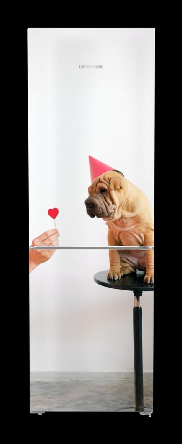 Ein Shar-Pei mit Partyhut sitzt auf einem Tisch und bekommt ein Herz-Lollipop angeboten.