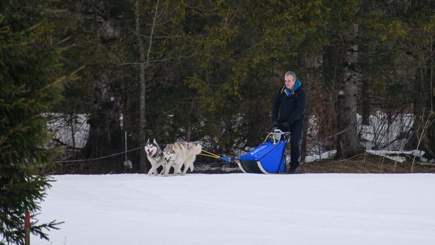 Husky Schlittenfahrt