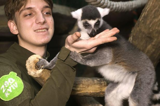 Tiere im Zoo Kiew freuen sich über das Futter