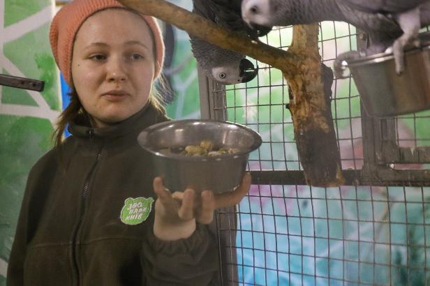 Tiere im Zoo Kiew freuen sich über das Futter