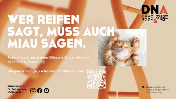 Mit Katzenfotos gegen Wissenschaftsskepsis