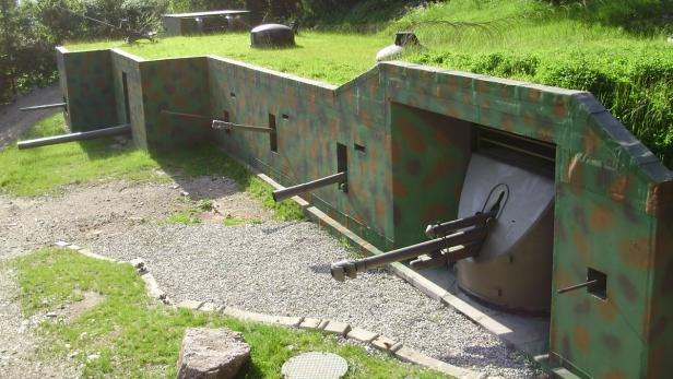 Eine getarnte Küstenbatterie mit Kanonen in einer Grünanlage.