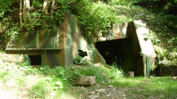Ein getarnter Bunker mit der Aufschrift „W-5“ ist von Vegetation umgeben.