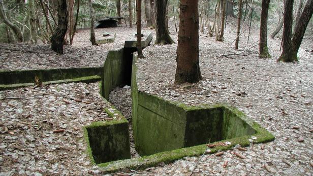 Ein alter, moosbewachsener Schützengraben im Wald.