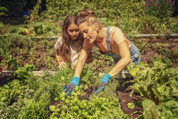Studie sagt: Garten hilft bei Stressbewältigung