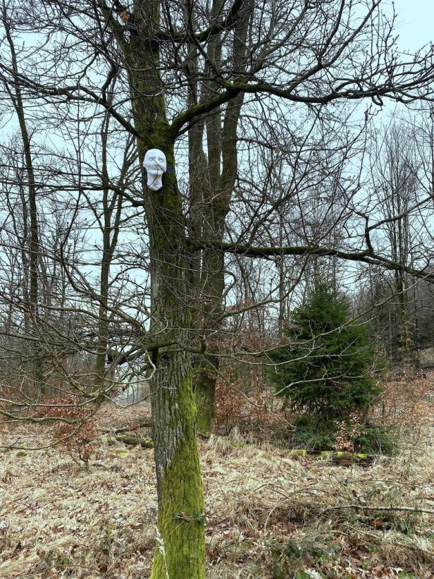 Klangwald in Leonding: „Der Geist von Bruckner“ in der Natur