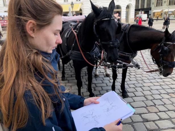 Neue Studie zu Hitzeresistenz von Wiens Fiakerpferden