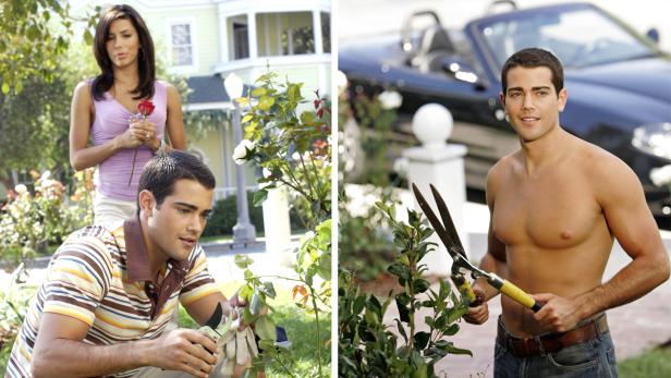 Zwei Männer beim Beschneiden von Rosenbüschen, während eine Frau eine Rose betrachtet.