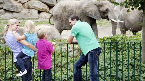 Eine Familie betrachtet im Zoo Elefanten hinter einem Zaun.