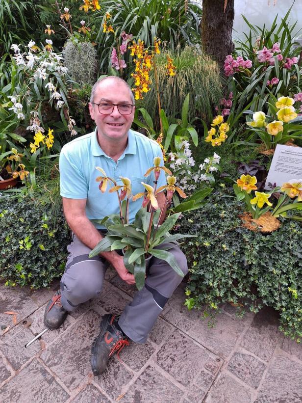 Botanischer Garten Linz: Diven wollen Streicheleinheiten