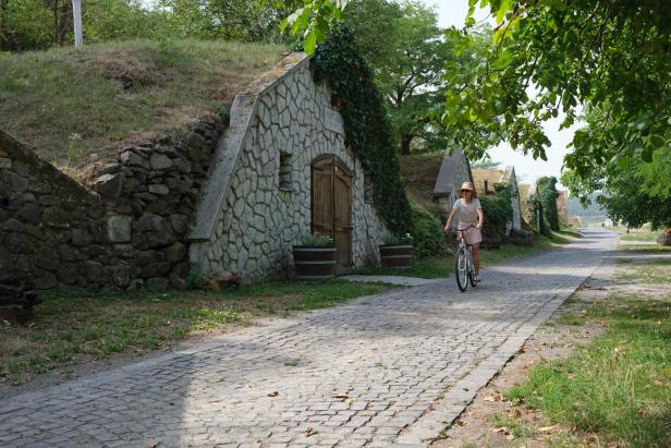 Frau im Sommer auf Fahrrad, Pflastersteine in Sárospatak, Weinkeller Tokaj