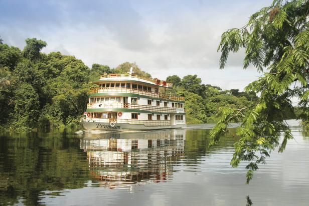 Atemberaubender Amazonas