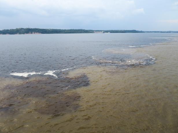 Atemberaubender Amazonas