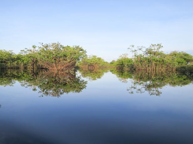 Atemberaubender Amazonas