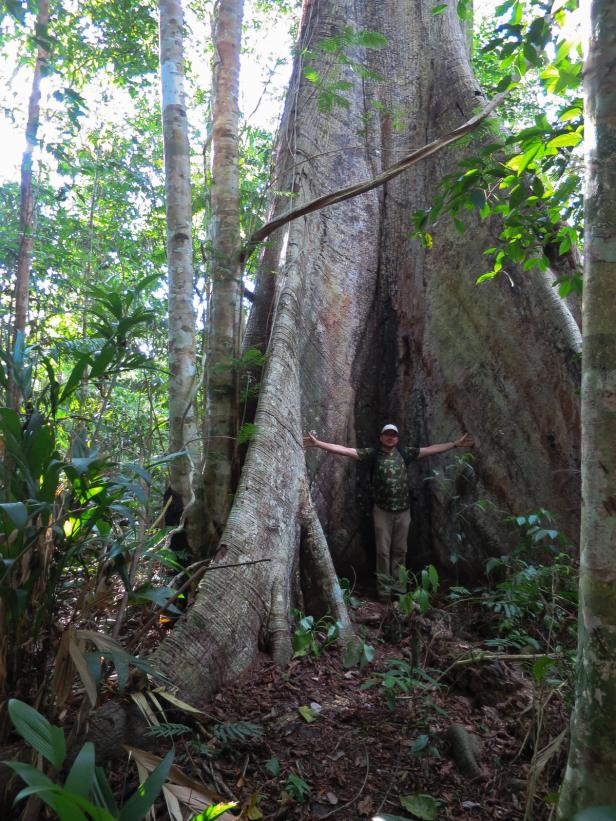 Atemberaubender Amazonas