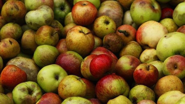 Viele Äpfel in verschiedenen Farben liegen dicht an dicht.