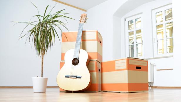 Eine Gitarre lehnt an Umzugskartons neben einer Zimmerpflanze.