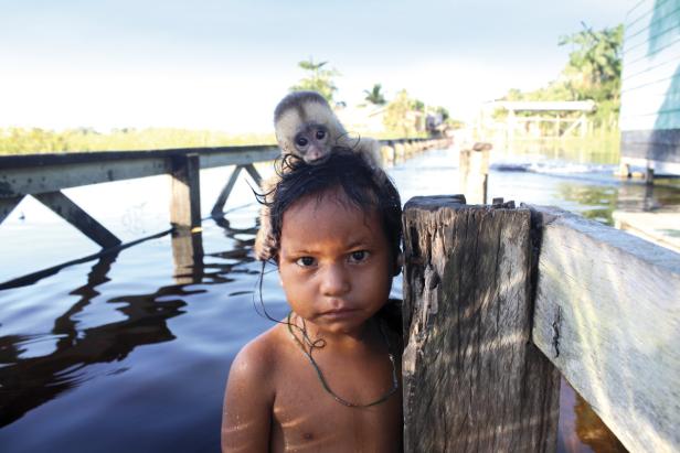 Atemberaubender Amazonas