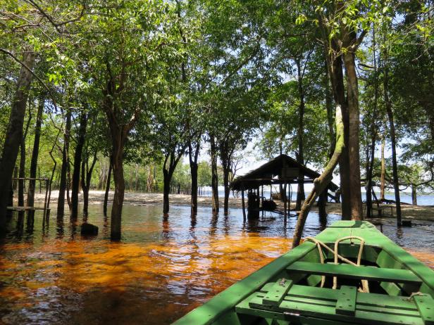 Atemberaubender Amazonas