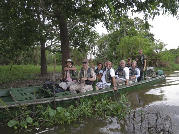 Atemberaubender Amazonas