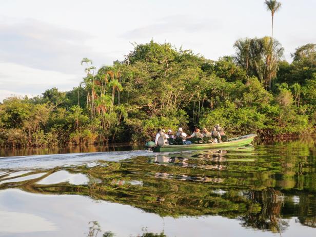 Atemberaubender Amazonas