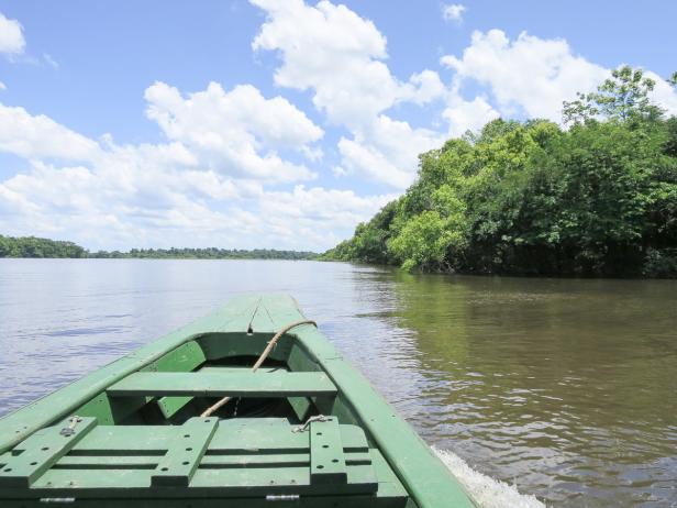 Atemberaubender Amazonas