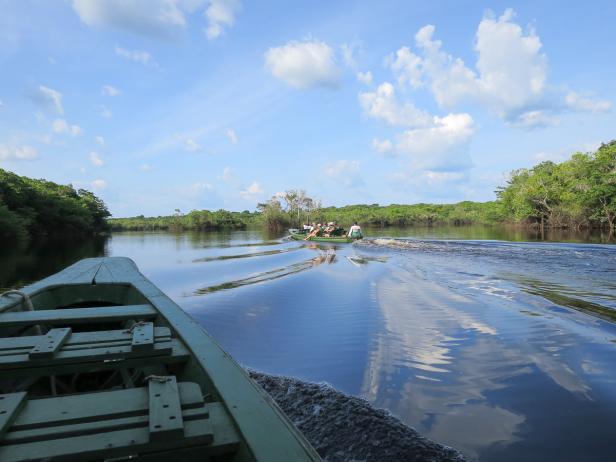 Atemberaubender Amazonas