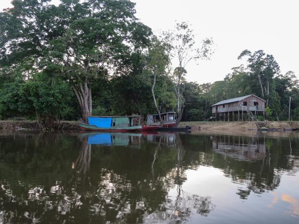 Atemberaubender Amazonas