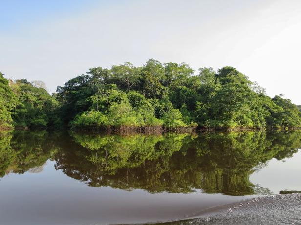 Atemberaubender Amazonas