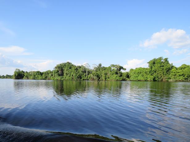 Atemberaubender Amazonas