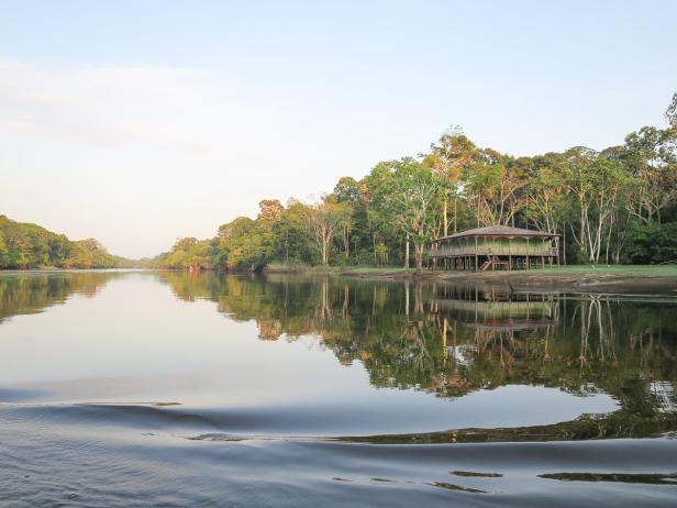 Atemberaubender Amazonas