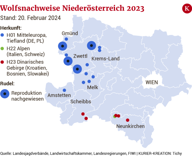 Wolfsnachweise Niederösterreich 2023