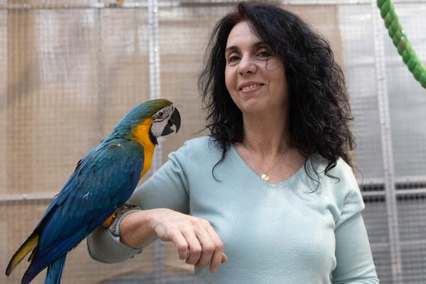 Zu Besuch bei 200 schrägen Vögeln: Warum viele Papageien im Tierheim landen