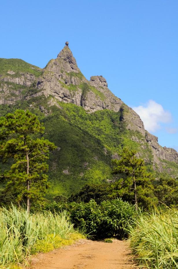 Gipfel des „Pieter Both“ auf Mauritius