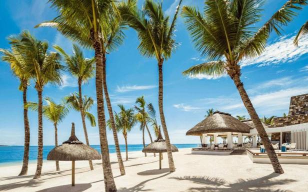 Sandstrand mit Palmen auf Mauritius