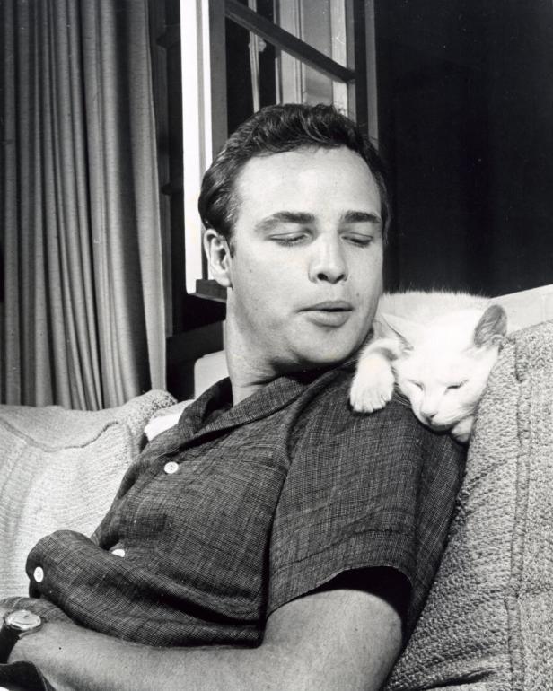 Marlon Brando mit einer weißen Katze auf seiner Schulter.