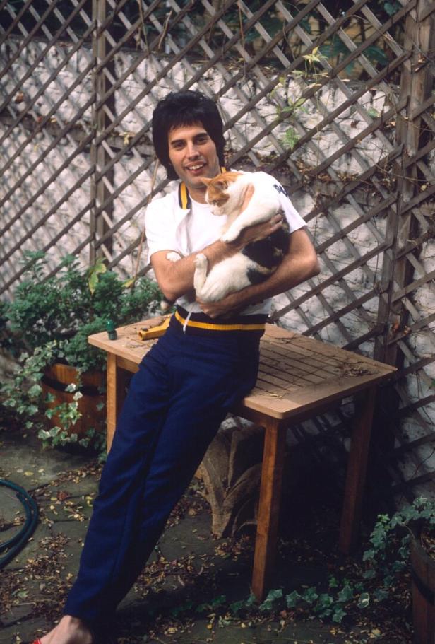 Freddie Mercury hält eine Katze im Arm, während er an einem Tisch im Freien steht.