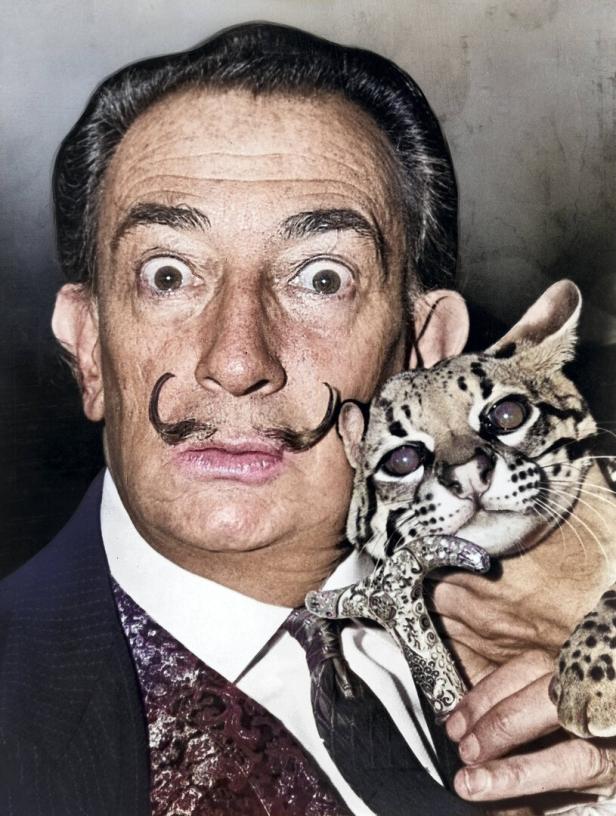 Salvador Dalí posiert mit einem Ozelot auf dem Arm.