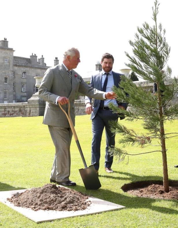 Charles beim Pflanzen eines Baumes (2019)