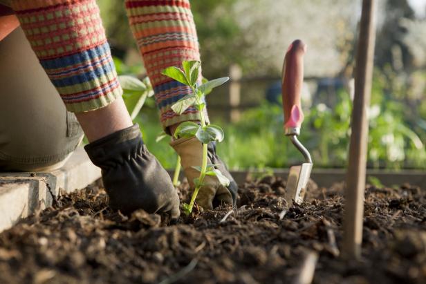 7 Schritte: Das ist im März im Garten zu tun