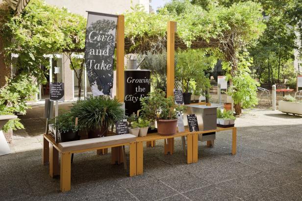 Ein Tisch mit Pflanzen und Schildern im Freien, Teil eines städtischen Gartenprojekts.