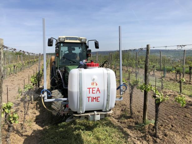 Ein Traktor sprüht Pestizide auf einem Weinberg, auf dem Tank steht „It's TEA TIME“.