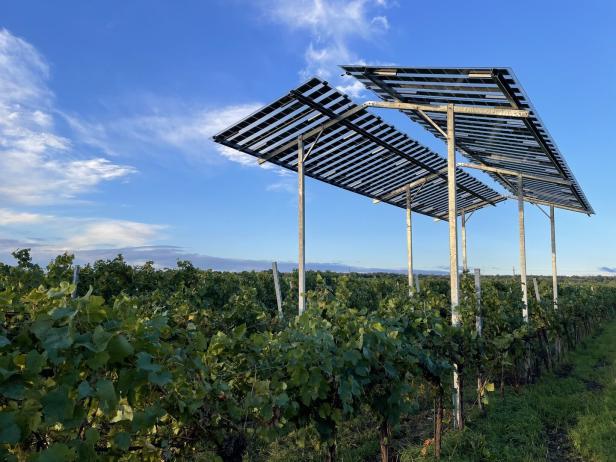 Solaranlagen über einem Weinberg an einem sonnigen Tag.